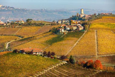 İtalya 'nın Piedmont kentinde Barbaresco yakınlarındaki tepelerdeki sonbahar üzüm bağları ve kırsal evlerin manzarası.