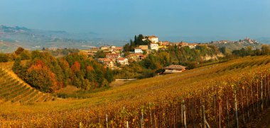 Renkli sonbahar üzüm bağlarının panoraması ve Piedmont, İtalya 'daki tepede küçük bir kasaba.