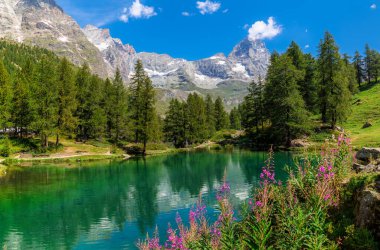 Lago Blu surrounded by lush greenery and vibrant wildflowers under a clear blue sky as mountain range and Matterhorn peak on background. in the Aosta Valley, Italy.