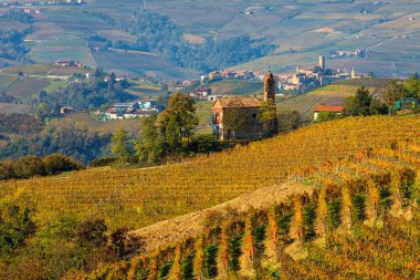 Renkli üzüm bağları ve İtalya 'nın Piedmont kentindeki Langhe tepelerinde küçük bir şapel..