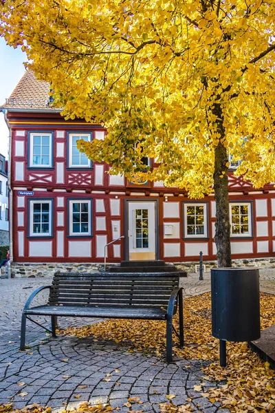 ドイツ ヘッセの木とベンチがある半木造の家 — ストック写真