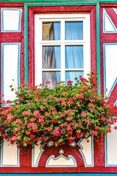 stock image Beautiful Window with red flowers on historic Building in the idyllic little Town Idstein Hesse Germany.