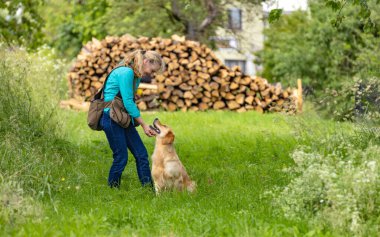 Sahte yelek giyen ve Golden Retriever ile itaatkar eğitimi olan bir kadın.