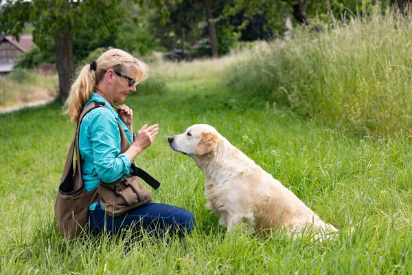 Vrouwelijke Hond Eigenaar Speelt Met Haar Golden Retriever Hond Groen — Stockfoto