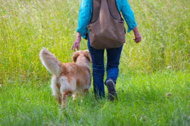 Büyük eğitim yelekli kadın ve onun Backside 'lı Golden Retriever' ı