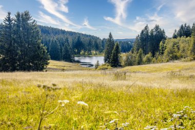 Reçine göletleri Harz Dağları 'ndaki daha küçük yapay su kütleleridir..