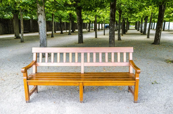 Wooden bench in front of tree alley in a public park