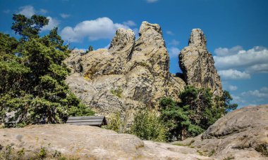 Şeytanın Duvarı 'nın bir parçası (Teufelsmauer), Almanya' nın Harz Dağları 'nda kumtaşından yapılmış bir kaya oluşumu.