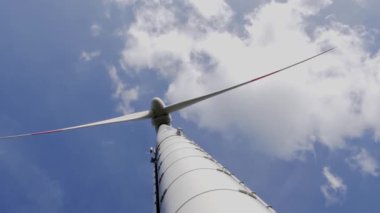 Rüzgarda sallanan mısır tarlası. Rüzgâr türbini ve arka planda güzel bulutlu gökyüzü.