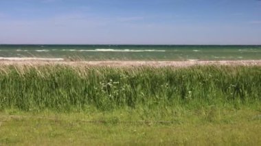 Almanya 'da Pommerby yakınlarında huzurlu bir plajın önünde yeşil çimenler rüzgarda sallanıyor.