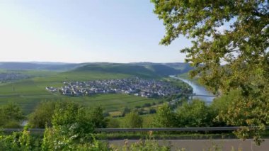 Moselle Vadisi ve Trittenheim 'a bakın.