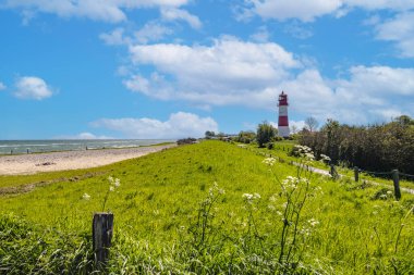 Red and white striped lighthouse in Falshoeft standing on green meadow by north sea coast on sunny summer day with blue sky and white clouds clipart