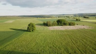 Tarım alanlarının zamanla değişmesine ilişkin geniş bir bakış açısı, çeşitli ekin yetiştirme ve arazi hazırlama aşamalarını göstermektedir.