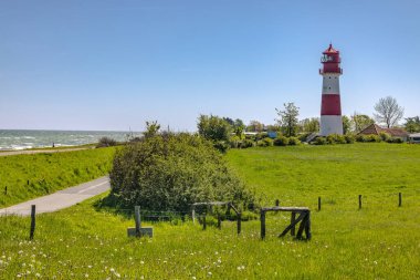 Kırmızı ve beyaz deniz feneri açık güneşli bir günde yeşil bir çayırdan yükseliyor.