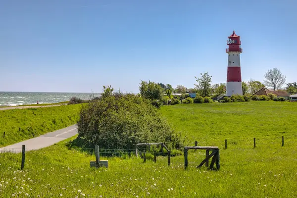Kırmızı ve beyaz deniz feneri açık güneşli bir günde yeşil bir çayırdan yükseliyor.