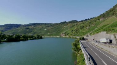 Germnay 'de Trittenheim yakınlarındaki güzel Moselle nehri üzüm bağlarını çevreledi..