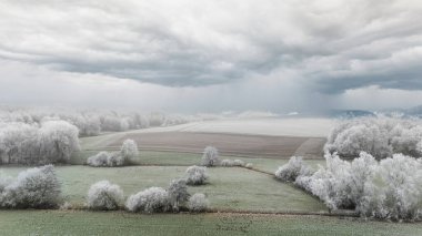 Fırtınalı bir gökyüzünün altında donuk ağaçlar ve tarlalar olan kış manzarası