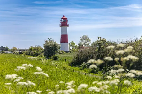 Kırmızı ve beyaz deniz feneri Yeşil bir çayırdan yükseliyor.