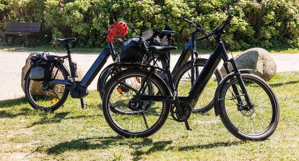 Çalıların yanındaki çimlere park edilmiş elektrikli bisikletler, bir sonraki sürüş için hazır.