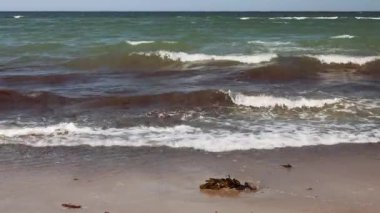 Sakin okyanus dalgaları yavaşça sahile çarpar ve sakin bir atmosfer yaratır.