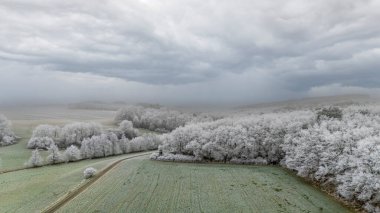 Fırtınalı bir gökyüzünün altında donuk ağaçlar ve tarlalar olan kış manzarası
