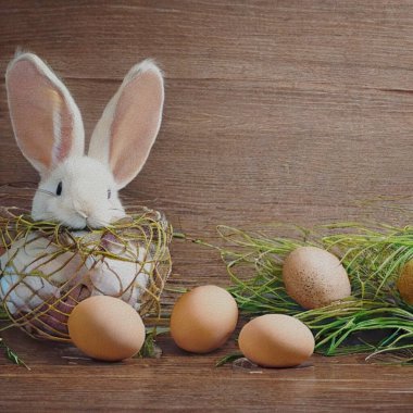 Happy Eastern greetings with colourful Eggs and a bunny
