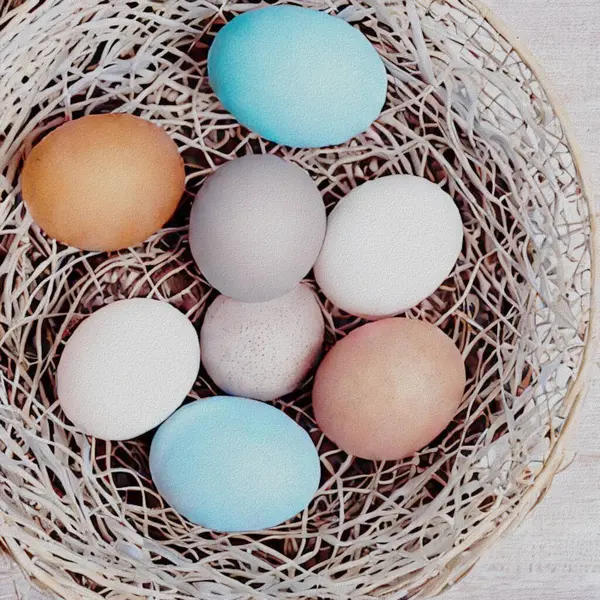 Happy Eastern Greetings Colourful Eggs Bunny — Zdjęcie stockowe
