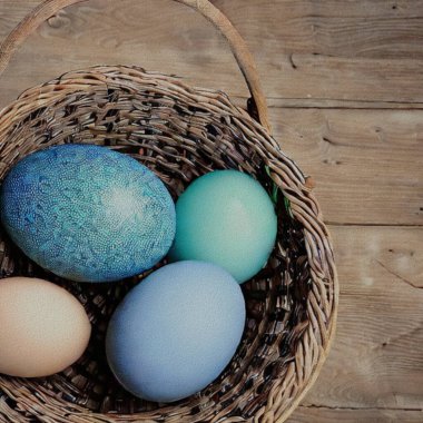 Beautiful Greetings for Eastern with colourful Eggs and a bunny