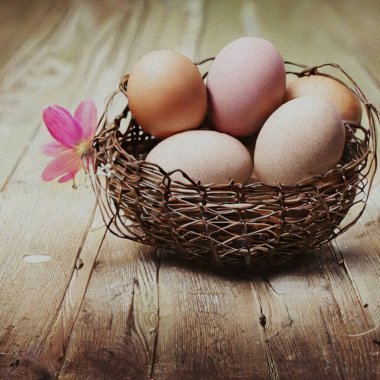 Beautiful Greetings for Eastern with colourful Eggs and a bunny