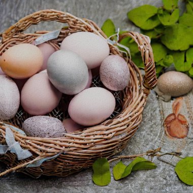 Beautiful Greetings for Eastern with colourful Eggs and a bunny