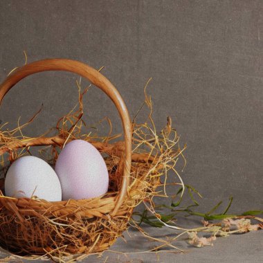 Beautiful Greetings for Eastern with colourful Eggs and a bunny