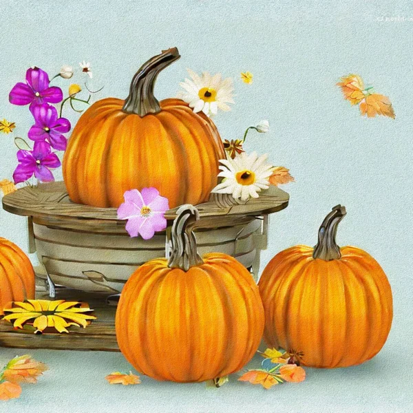 Beautiful Greetings Thanksgiving Pumpkins Flowers — 스톡 사진