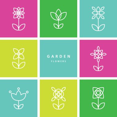 Çiçekler - çiçek seti - dekoratif tasarım ögesi