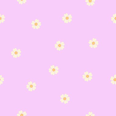 Primula. Çuha çiçeği. Primula vulgaris. Kusursuz arkaplan dokusu.