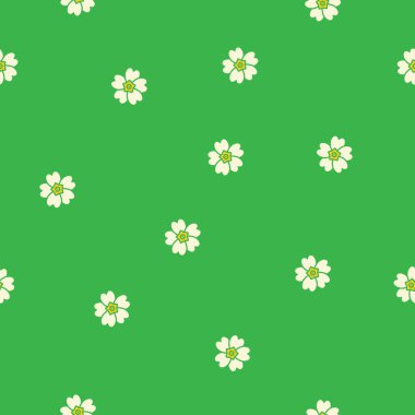 Primula. Çuha çiçeği. Primula vulgaris. Kusursuz arkaplan dokusu.