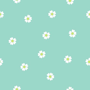 Romantik beyaz Primula çiçekleri. Kusursuz desen.