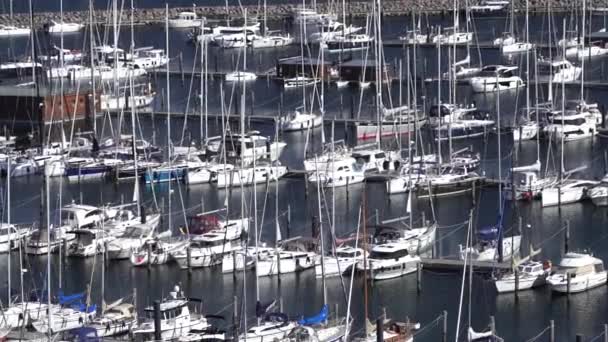 Многие Яхты Парусники Марине Концепция Отдыха Круизов Путешествий — стоковое видео