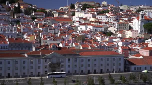 포르투갈 타구스 오렌지 고품질 — 비디오