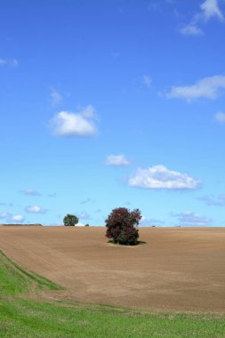 Ekin, sonbahar renklerinde Macaristan 'dır..