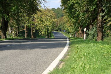 Sylvan yolu, şu ağaca ulaşım için çok kullanışlı..