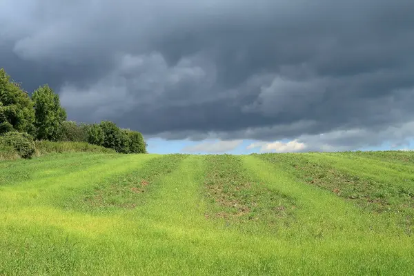 Yeşil Macaristan sonbahar fırtınası bulutların altında.
