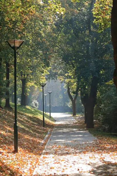 bir park mesire renkler sonbahar geldi.