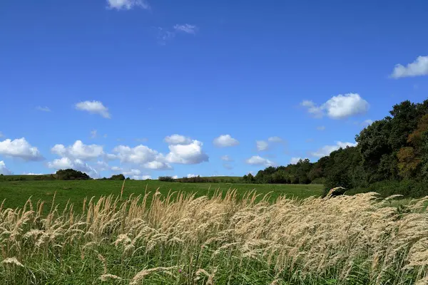 Ekin, sonbahar renklerinde Macaristan 'dır..