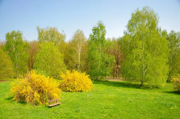 Yeşil arazi ve bir sıra ağaç..