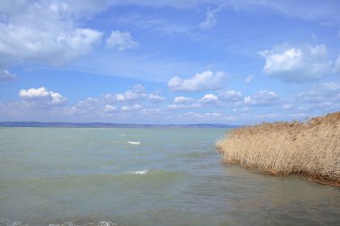 Burası Balaton Gölü, kamışlı olan.