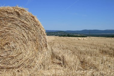bir balya hasat alanında peşinde olduğunu.