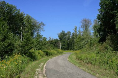Sylvan yolu, şu ağaca ulaşım için çok kullanışlı..
