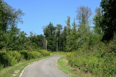 Sylvan yolu, şu ağaca ulaşım için çok kullanışlı..