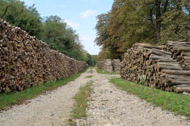 bir güç istasyonunun Isıtma için kullanılan taşıma, bekleyen bir woodpile olduğunu.
