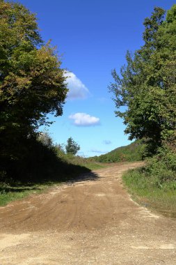 Ekin, sonbahar renklerinde Macaristan 'dır..